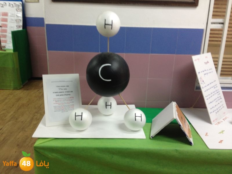 chemstery shamlea (10).jpg